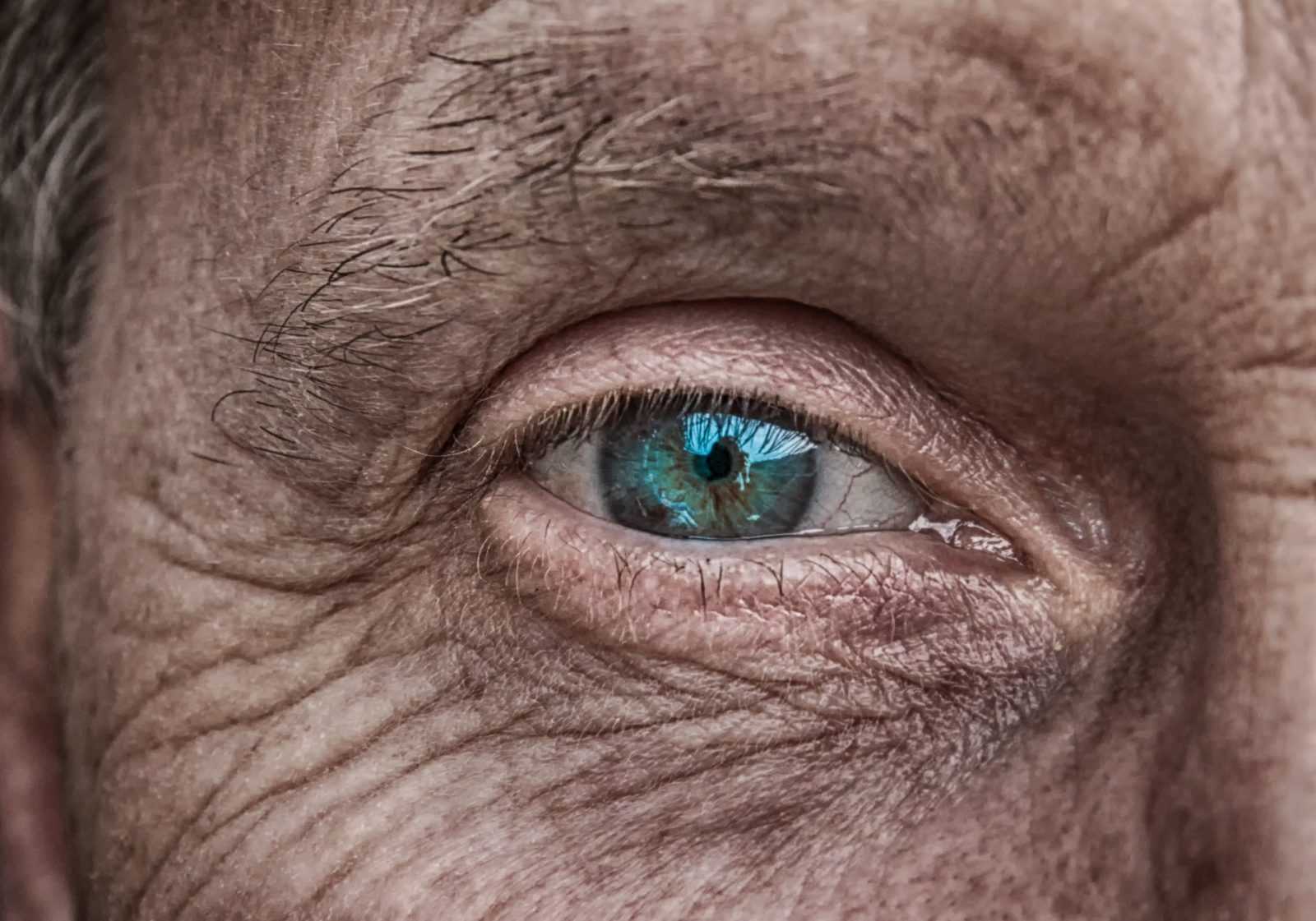 closeup of a blue eye looking at camera